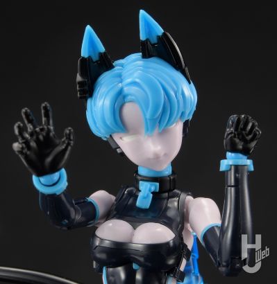 AnimaCircuit 索拉猫猫 SP