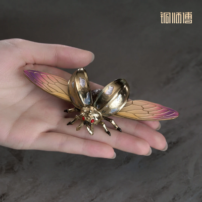 凡人动画之噬金虫