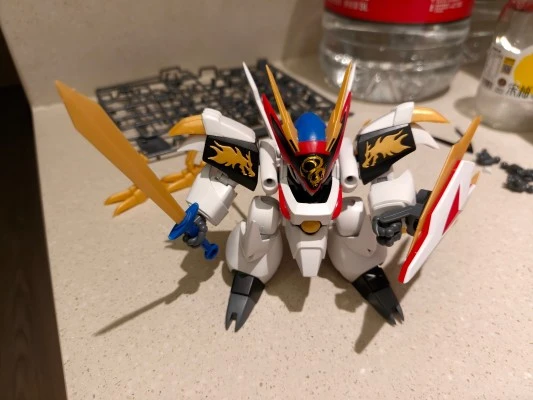 HG 龙王丸