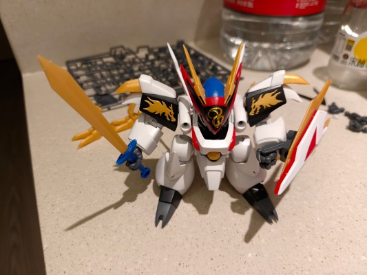 HG 龙王丸