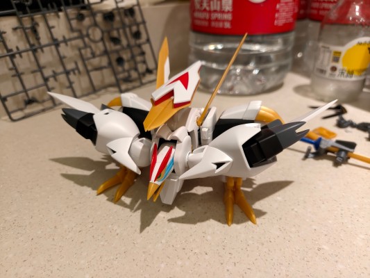 HG 龙王丸