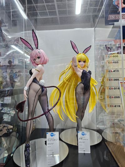 宇都宫沙希 组织的陷阱