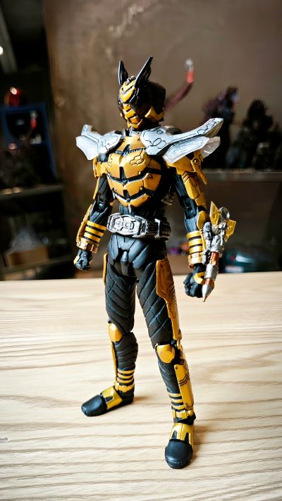 S.I.C. 假面骑士カブト 假面骑士扎比 