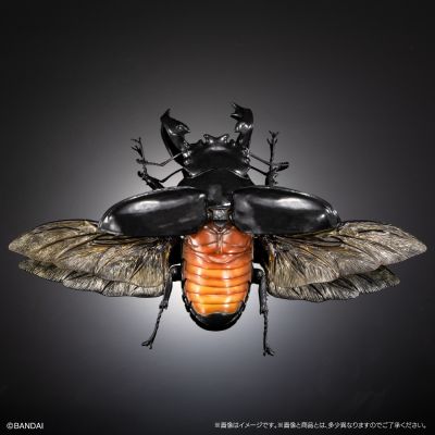 生物大图鉴 Advance 锹形虫03 展示支架 & 树皮底座（中）套装