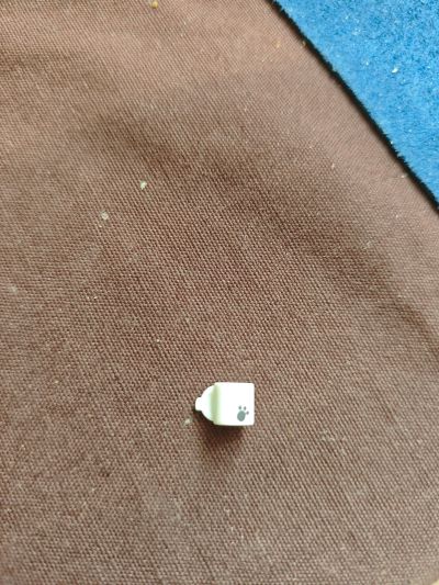 粘土人#2937 蔚蓝档案 尾刃康娜