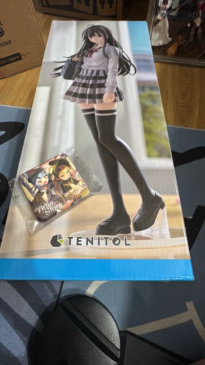 TENITOL TALL 我的青春恋爱物语果然有问题 雪之下雪乃