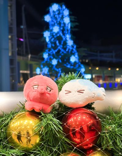 哈里路亚宝贝 吴都章鱼&樱咲冬夏河豚 毛绒挂件套装
