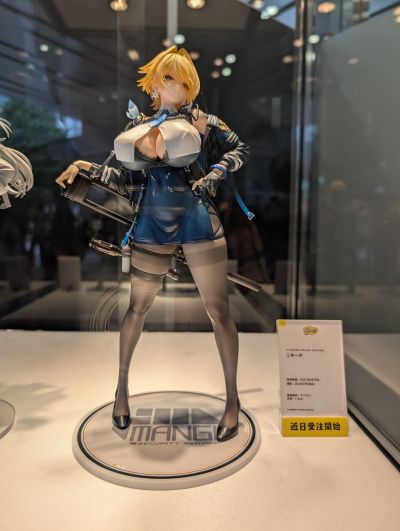 少女前线2：追放 妮基塔