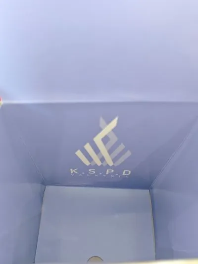 粘土人#2937 蔚蓝档案 尾刃康娜