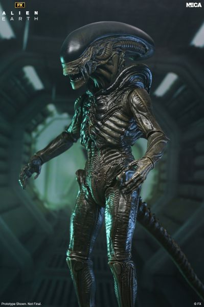 《异形：地球》终极版 异形 7英寸比例可动手办
