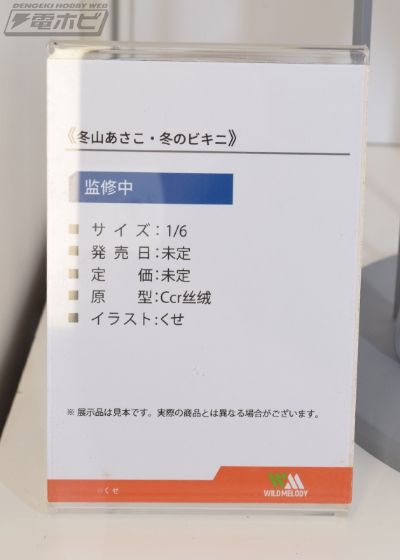 冬山朝子.冬季比基尼