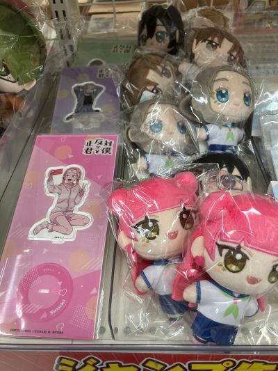 正相反的你和我  铃木实优 毛绒挂件