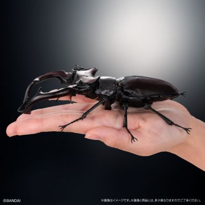 生物大图鉴 Advance 锹形虫03 展示支架 & 树皮底座（中）套装