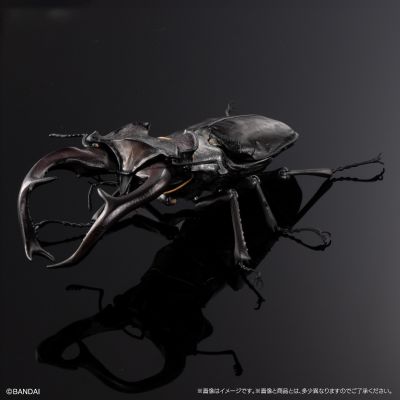 生物大图鉴 Advance 锹形虫03 展示支架 & 树皮底座（中）套装