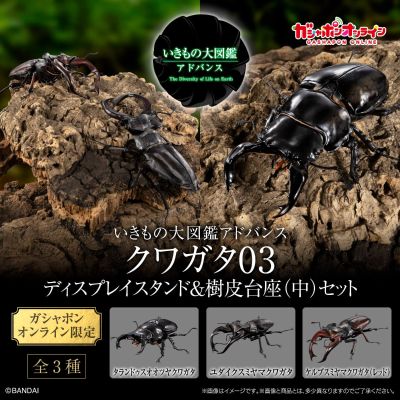 生物大图鉴 Advance 锹形虫03 展示支架 & 树皮底座（中）套装