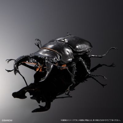 生物大图鉴 Advance 锹形虫03 展示支架 & 树皮底座（中）套装