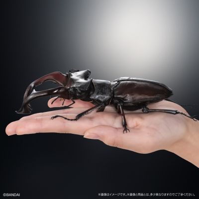 生物大图鉴 Advance 锹形虫03 展示支架 & 树皮底座（中）套装