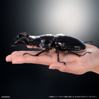 生物大图鉴 Advance 锹形虫03 展示支架 & 树皮底座（中）套装