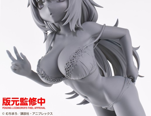 Re▼Dress 学生会也有洞 陆奥驹絽 体操服