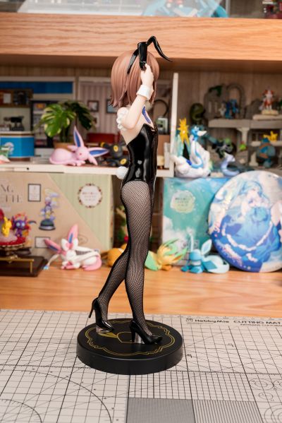 BiCute Bunnies 笨蛋，测验，召唤兽 木下秀吉