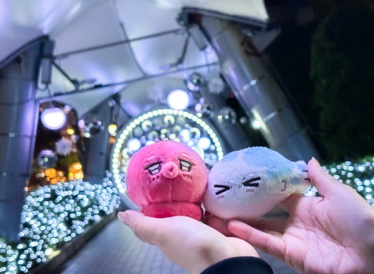 哈里路亚宝贝 吴都章鱼&樱咲冬夏河豚 毛绒挂件套装
