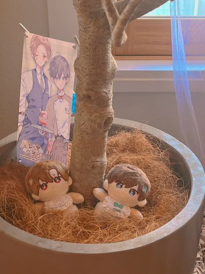 哈里路亚宝贝 吴都&樱咲冬夏 15cm 毛绒玩偶套装
