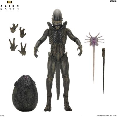 《异形：地球》终极版 异形 7英寸比例可动手办