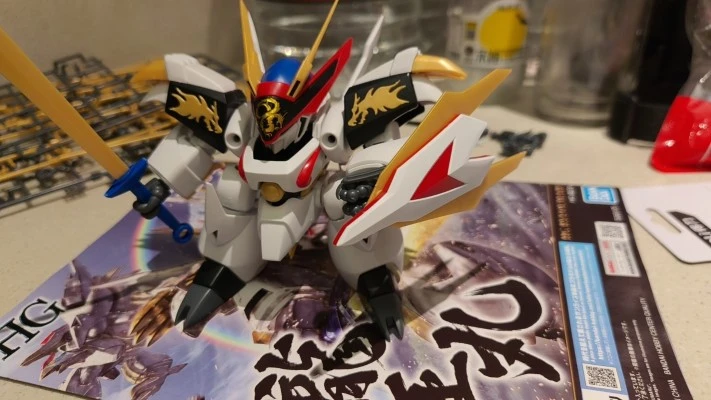 HG 龙王丸