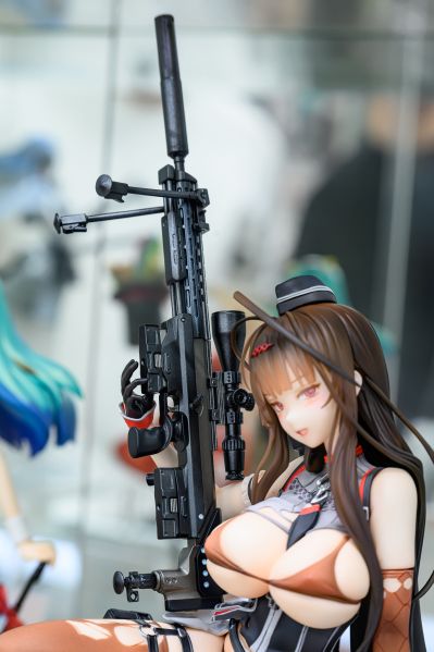 少女前线 Gd DSR-50 重创版
