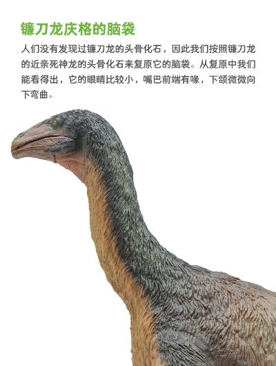 PNSO恐龙大王 成长陪伴模型65 镰刀龙庆格