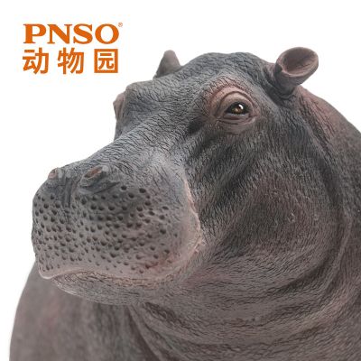 PNSO动物园成长陪伴模型09 河马墩奇