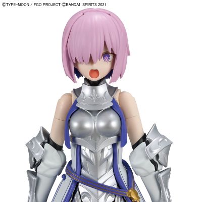 30MS  盾兵/玛修·基列莱特 [圣骑士]
