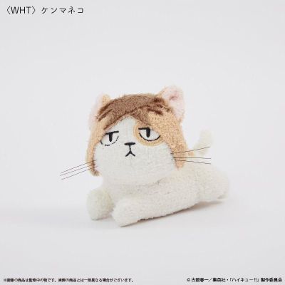 排球少年!! Palude联名 孤爪研磨猫咪毛绒挂件