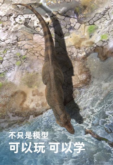 PNSO恐龙大王 成长陪伴模型58 诸城暴龙鲁雄