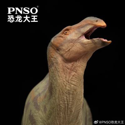 成长陪伴模型97  兰州龙兰奇