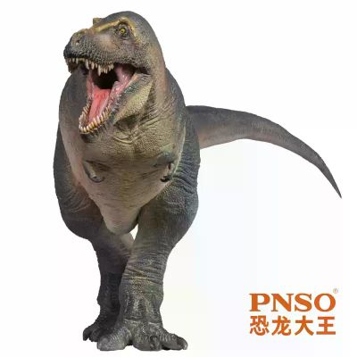 PNSO恐龙大王成长陪伴模型51 特暴龙川子