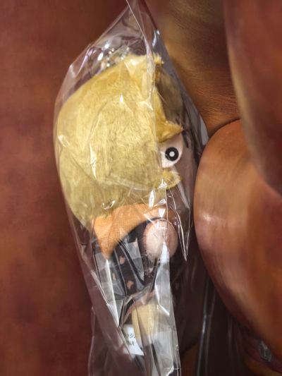 sex drop 黄海知昭 毛绒挂件