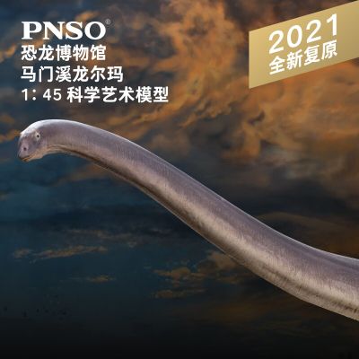 PNSO恐龙博物馆1：45科学艺术模型 马门溪龙尔玛