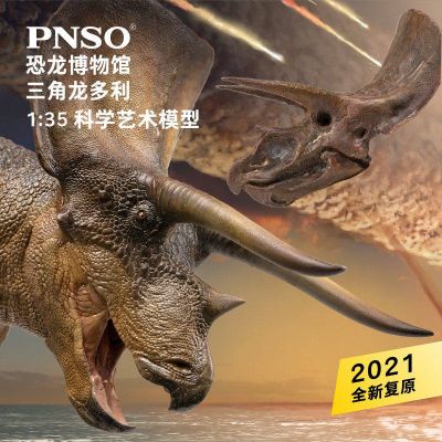 PNSO恐龙博物馆1：35科学艺术模型 新版三角龙多利附三角龙头骨