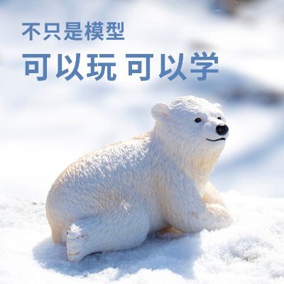 PNSO动物园成长陪伴模型06 北极熊艾达