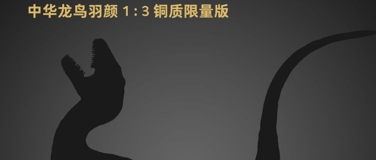 赵闯和杨杨科学艺术雕像美术馆系列 1:3中华龙鸟羽颜铜雕限量版