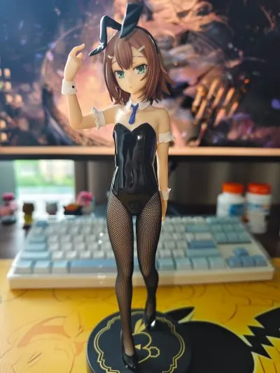 BiCute Bunnies 笨蛋，测验，召唤兽 木下秀吉