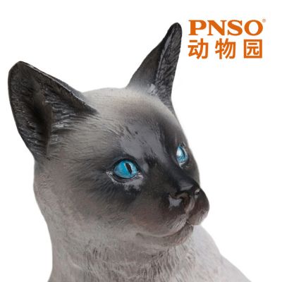 PNSO动物园成长陪伴模型13 暹罗猫萨利亚