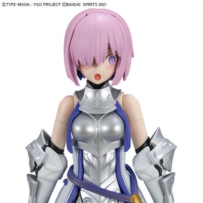30MS  盾兵/玛修·基列莱特 [圣骑士]