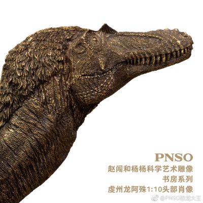 PNSO赵闯和杨杨科学艺术雕像书房系列：虔州龙阿殊1:10头部肖像