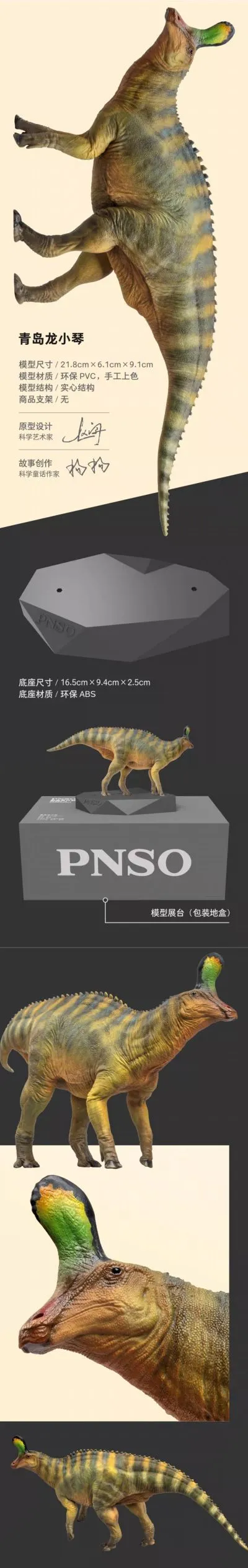 PNSO恐龙博物馆1:35科学艺术模型 青岛龙小琴​