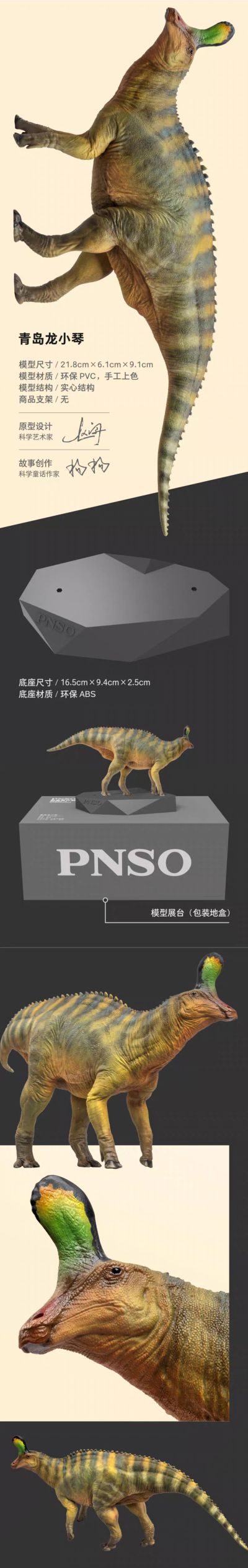 PNSO恐龙博物馆1:35科学艺术模型 青岛龙小琴​