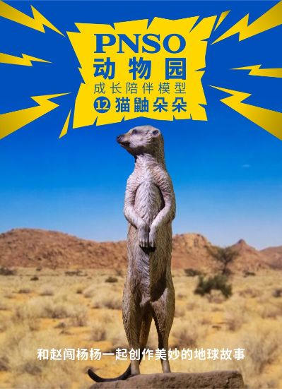 PNSO动物园成长陪伴模型12 猫鼬朵朵