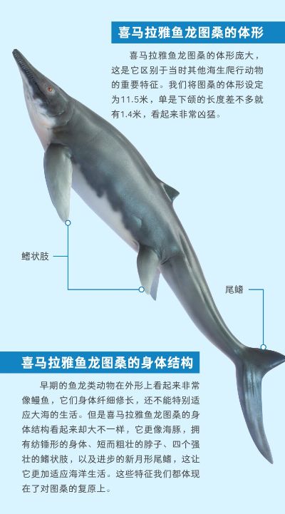 PNSO恐龙大王-成长陪伴系列55 喜马拉雅鱼龙图桑