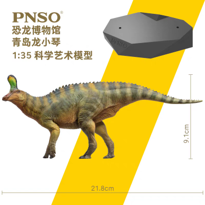 PNSO恐龙博物馆1:35科学艺术模型 青岛龙小琴​